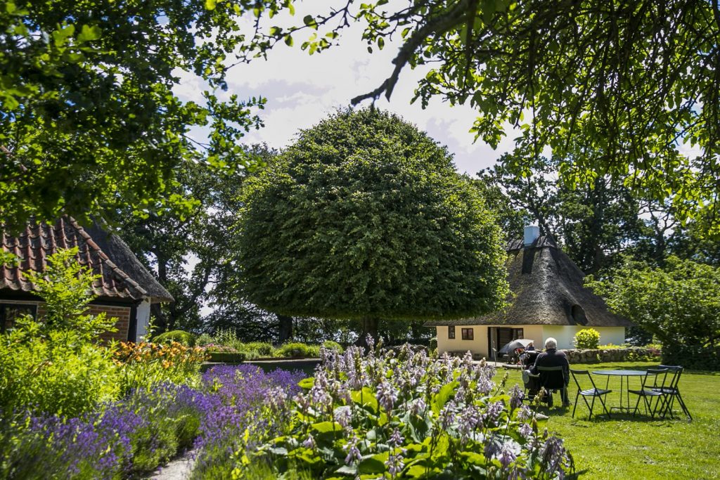 DER STADTBAUM IN DEN ALTEN HÄUSERN