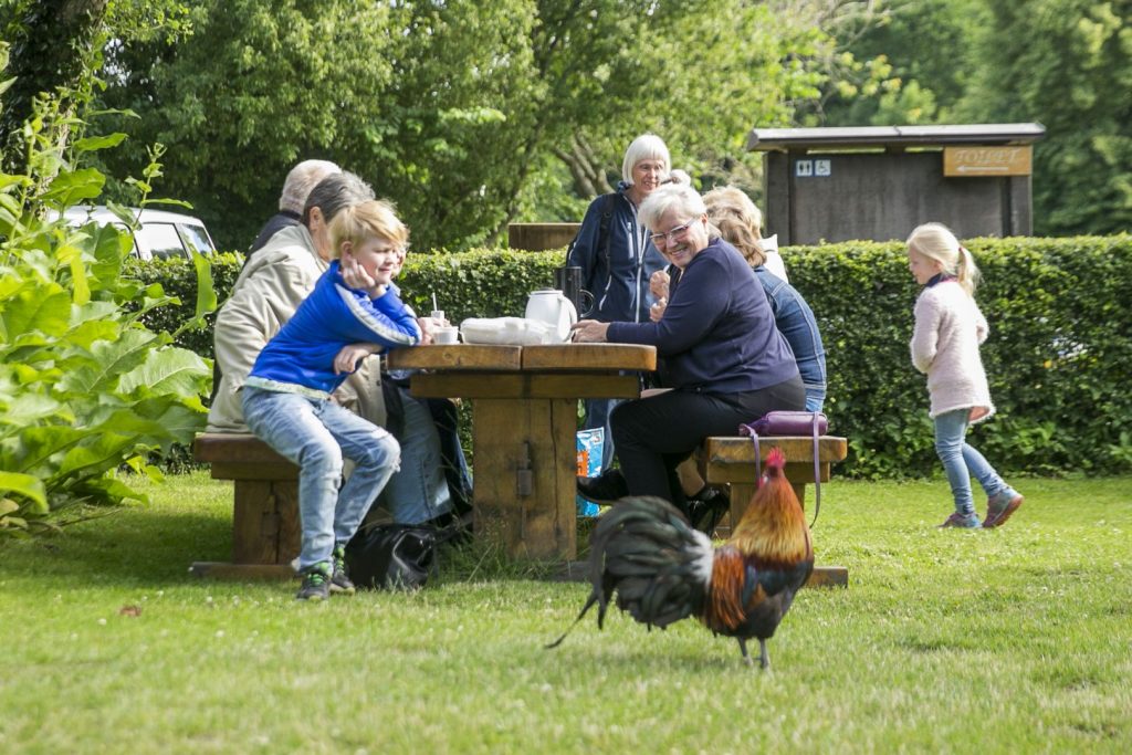 Familie sidder ved et bord og kigger på en høne
