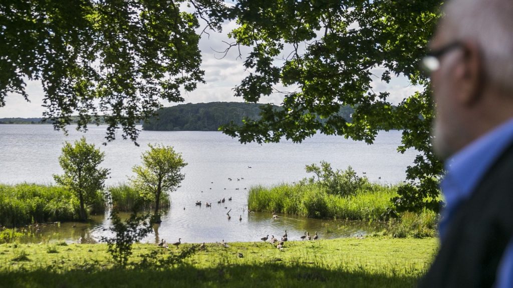 Älterer Herr steht und schaut vom Museum auf Maribo Søndersø
