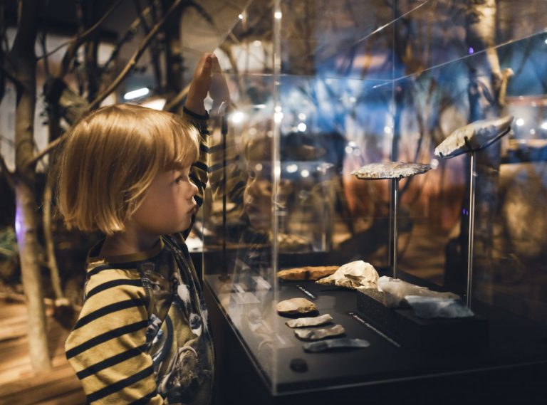 Child looks into showcases