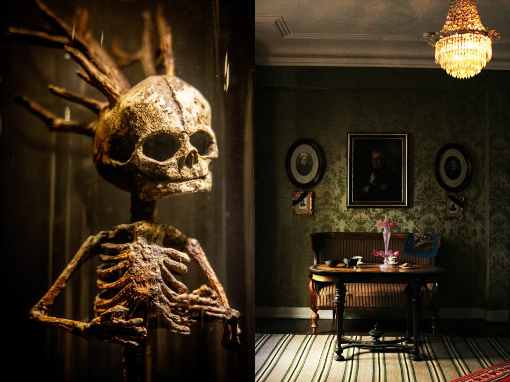 Et af de mærkelige væsner - et skelet med hjortegevir - i Museum Obscurum.