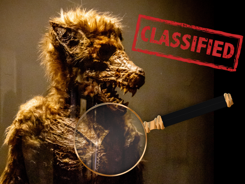 Werewolf in the exhibition in the Museum Obscurum