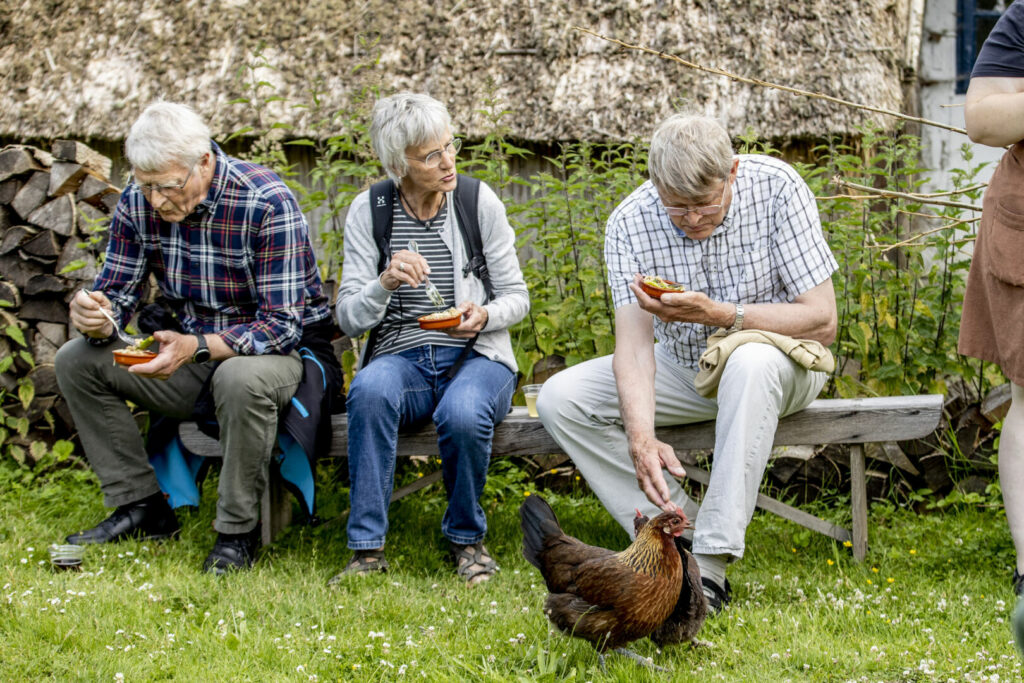 Guests and chickens eat and enjoy life at Maribo's open-air museum.
