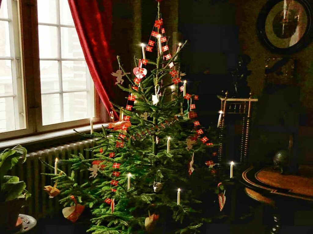 Ein geschmückter Weihnachtsbaum im Museum Obscurum