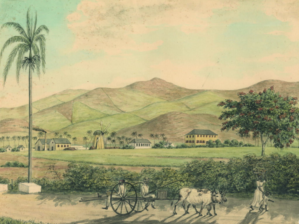 Plantagen Prosperity på St. Croix. Tegning af Frederik von Scholten, Museet for søfart