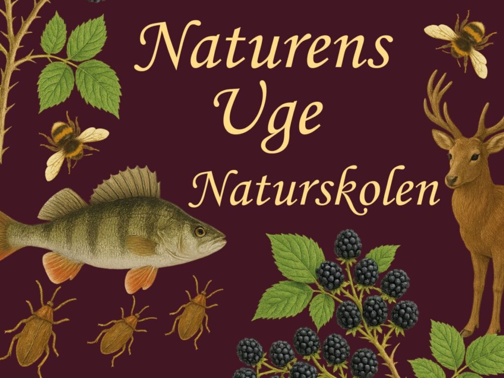 Naturens uge Naturskolen