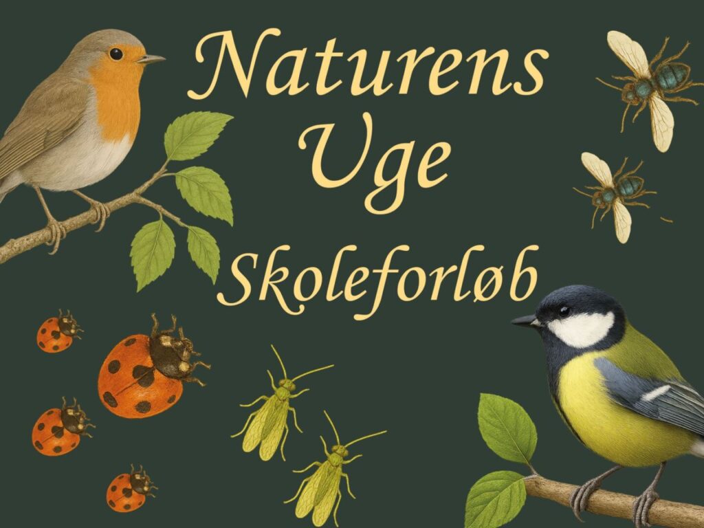 Naturens uge Skoleforløb