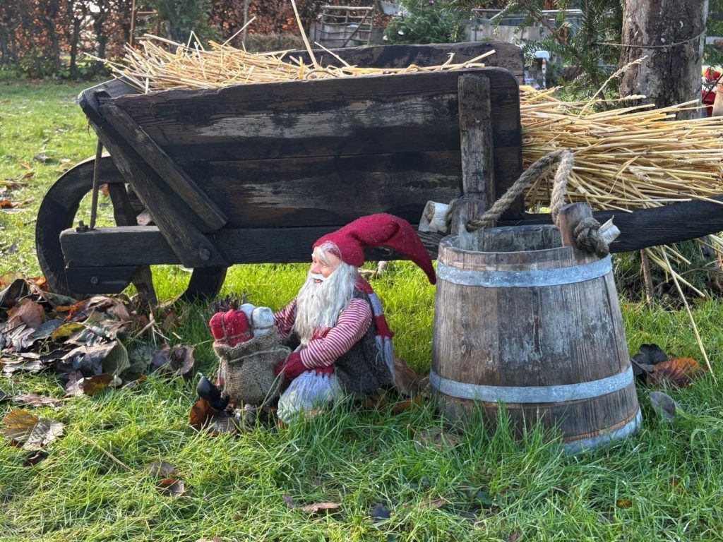 Nisse i æblehaven på friland