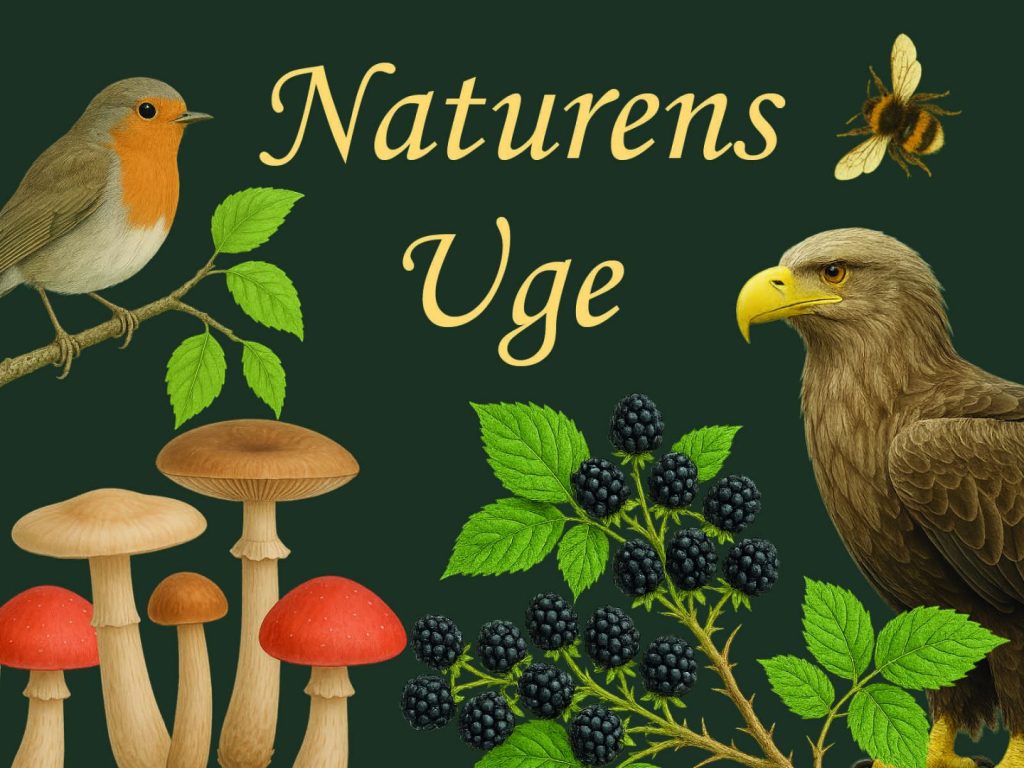 Naturens uge med tegnede dyr og planter