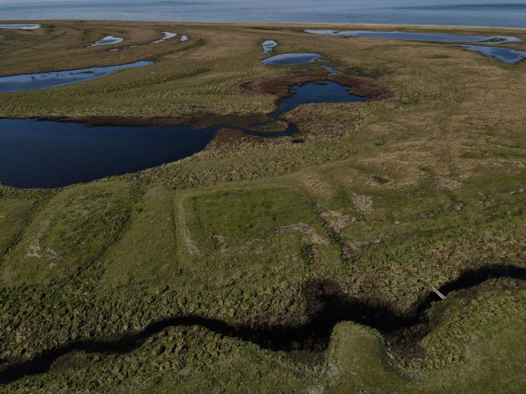 Sildemarkeder Nakskov Fjord
