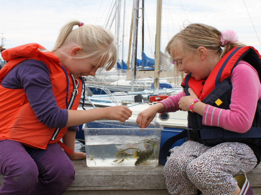 To små piger kigger på fisk