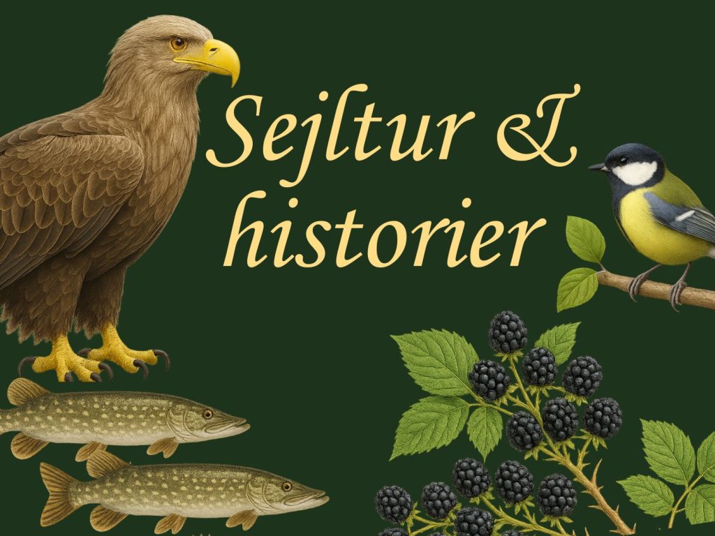 illustration med ørn, fisk, brombær og musvit vedr. sejltur med historiefortælling i forbindelse med naturens uge arrangement