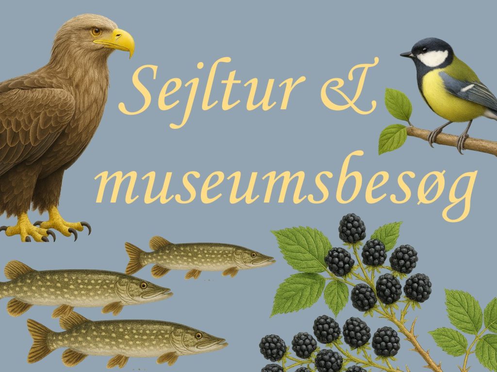 illustration med havørn, fisk, musvit og brombær for fællesarrangement med sejltur og museumsbesøg